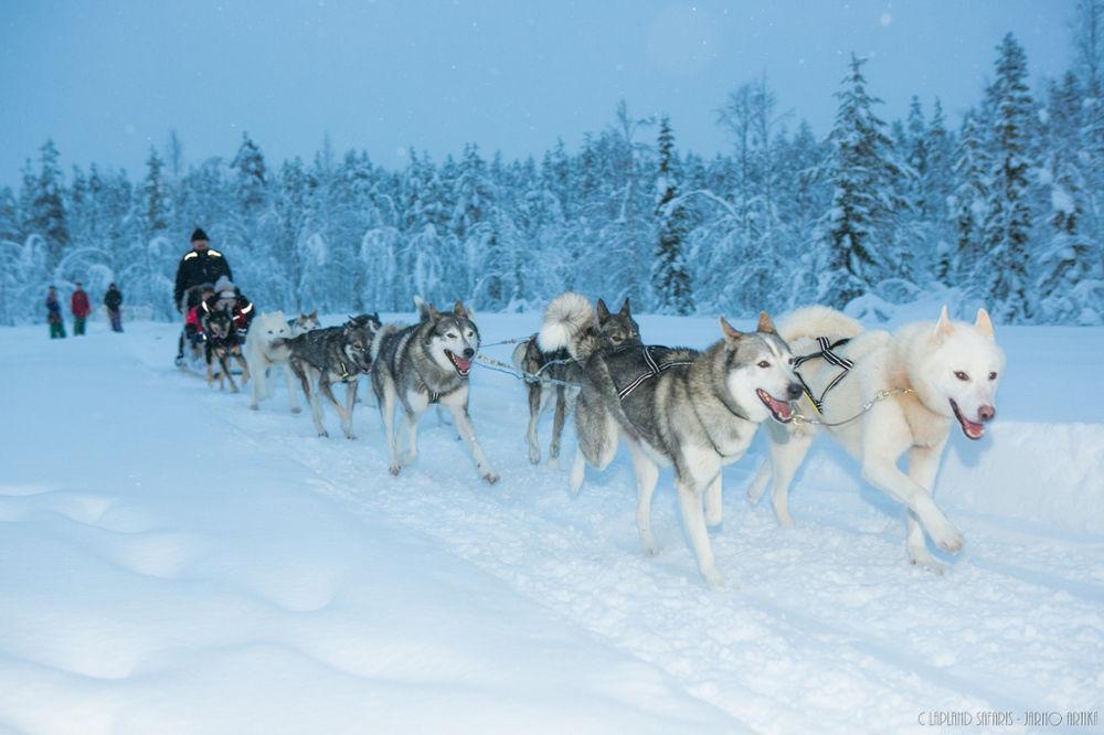 Lapland Hotels Snowvillage Ylläsjärvi المظهر الخارجي الصورة