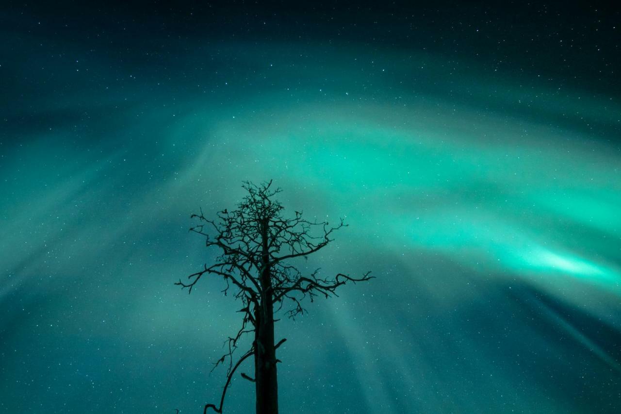 Lapland Hotels Snowvillage Ylläsjärvi المظهر الخارجي الصورة